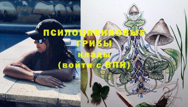 спиды Алзамай