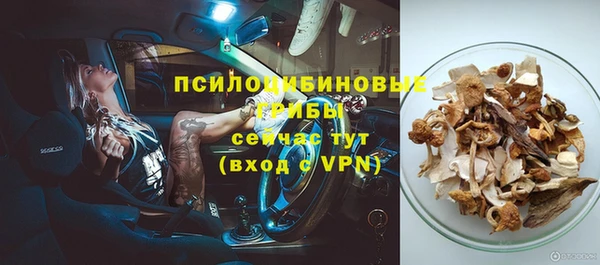 спиды Алзамай