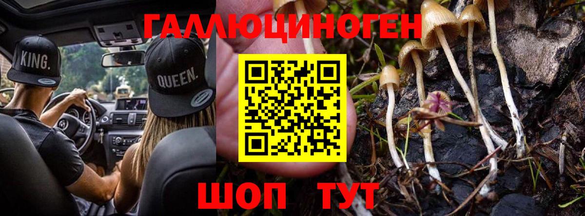 Томск  Галлюциногенные грибы Magic Shrooms  Вход с VPN 